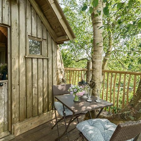The Treehouse At Salcombe Farm Villa Exterior photo
